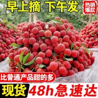 现货立发 新鲜荔枝现摘现发当季水果 广西荔枝白糖罂禾荔