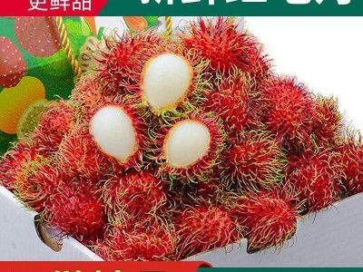 空运包邮 海南保亭红毛丹5斤毛荔枝