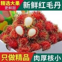 空运包邮 海南保亭红毛丹5斤毛荔枝新鲜红毛丹水果热带稀有毛丹果