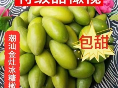 潮汕金灶特产青橄榄果现摘新鲜冰糖