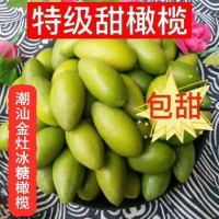 潮汕金灶特产青橄榄果现摘新鲜冰糖甜种橄榄生吃青果甘甜无渣