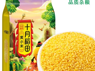 十月稻田 黄小米1KG（黄小米 小米粥