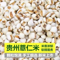 薏仁米新鲜特级优质正宗薏米仁精选炒薏仁祛湿去湿气薏仁薏米祛湿