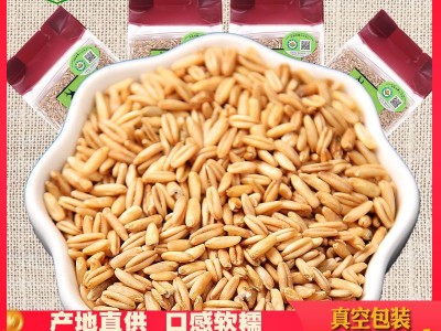 北纬49东北有机燕麦米新燕麦粒新燕