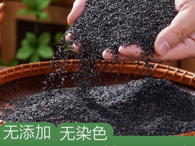 22新黑芝麻熟黑芝麻油生芝麻无染色